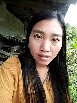 PhienPhien online show from October 21, 8:04 am