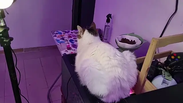 Lovers cave online show from December 19, 2:07 am