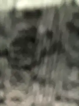 caroline  muller online show from October 14, 10:49 am