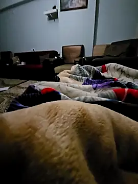 Snapshot of fena-sikerimmm chatting on February 21, 2:45 am fena-sikerimmm online show from February 21, 2:45 am