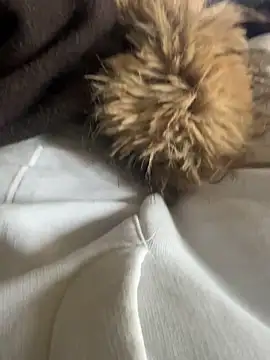 Snapshot of LesAmantsAE2 chatting on February 15, 10:14 am LesAmantsAE2 online show from February 15, 10:14 am