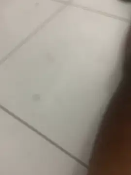 Snapshot of novin21rj chatting on April 7, 12:55 am novin21rj online show from April 7, 12:55 am