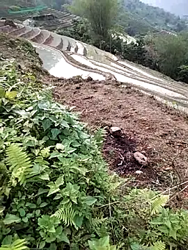 PhamPm70 online show from April 2, 9:51 am