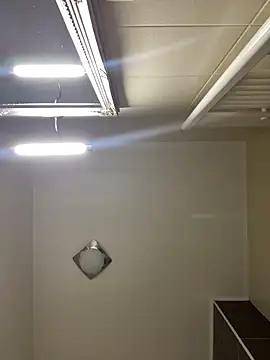 Lexi Storm online show from March 2, 6:14 am