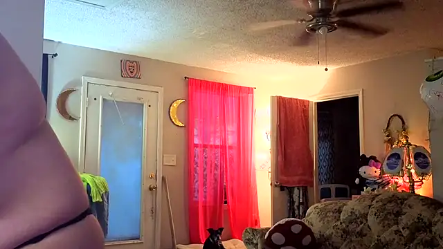 Princess  Kitty   online show from July 6, 11:40 am