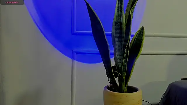 Ice Princess  online show from October 2, 4:41 am