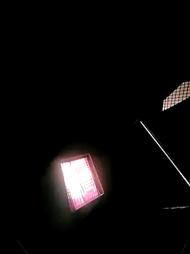 princexdcs online show from February 7, 10:52 am