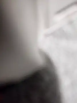 VeneciaCastill online show from February 16, 6:53 am