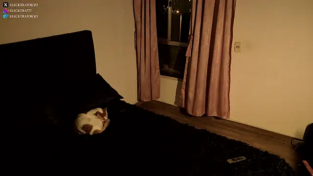 Snapshot of alexxatokyo chatting on October 26, 8:42 am alexxatokyo online show from October 26, 8:42 am