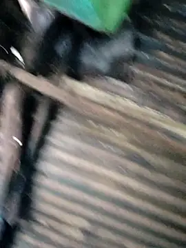 Snapshot of Hot-ilaiy chatting on December 22, 3:36 am Hot-ilaiy online show from December 22, 3:36 am