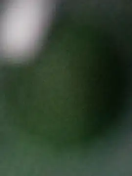 Punam ji online show from October 28, 7:12 am