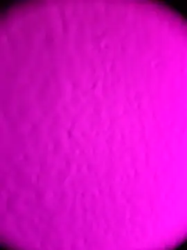 Snapshot of Michou02xXx chatting on February 18, 4:52 am Michou02xXx online show from February 18, 4:52 am