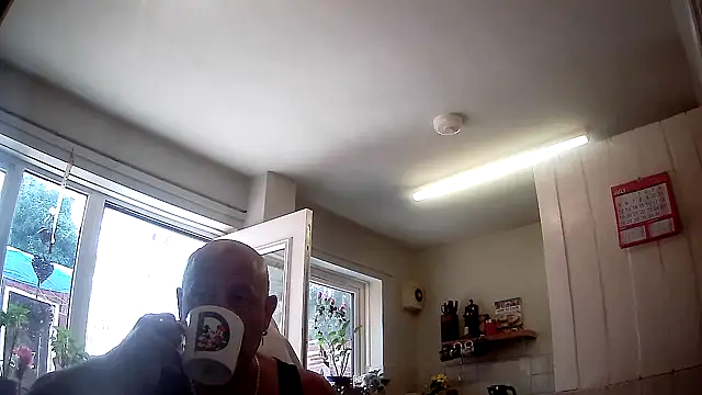 playfulchell online show from July 17, 10:55 am