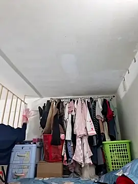 Minn-cute online show from November 16, 1:06 pm