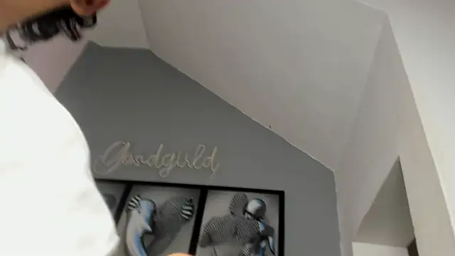 Snapshot of camillo_virgil chatting on October 14, 10:49 am camillo virgil online show from October 14, 10:49 am