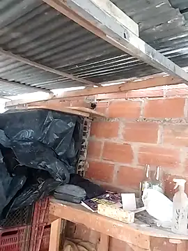 hoteder online show from March 23, 12:20 pm