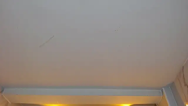 dania b  online show from October 19, 3:07 am