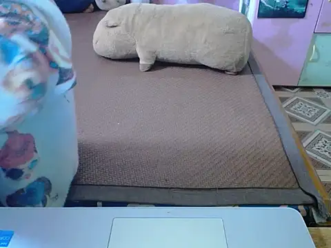 Snapshot of ahoa_Tk chatting on November 4, 2:32 am ahoa Tk online show from November 4, 2:32 am