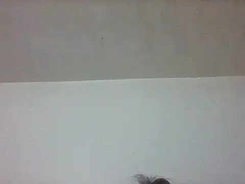 pretty349 online show from April 20, 1:14 pm