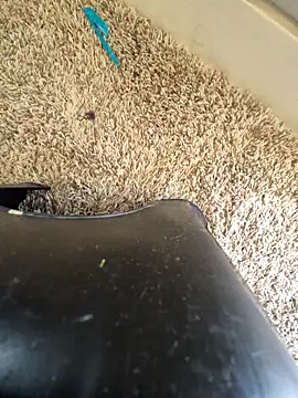 Snapshot of EsDezz88 chatting on March 22, 8:23 pm EsDezz88 online show from March 22, 8:23 pm