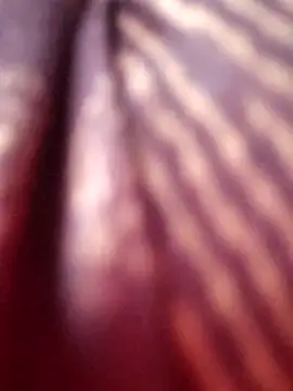 Tamilreethu online show from October 5, 8:45 am