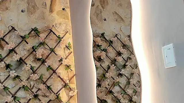 Snapshot of VenusBlazer chatting on February 7, 3:21 am VenusBlazer online show from February 7, 3:21 am