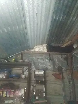 Canuseemeray online show from November 21, 8:35 am