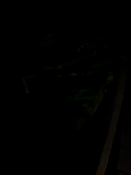 Snapshot of sr_dias chatting on November 13, 8:46 am sr dias online show from November 13, 8:46 am