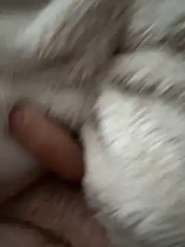 Snapshot of cumshot_foryou chatting on March 7, 4:04 pm cumshot foryou online show from March 7, 4:04 pm