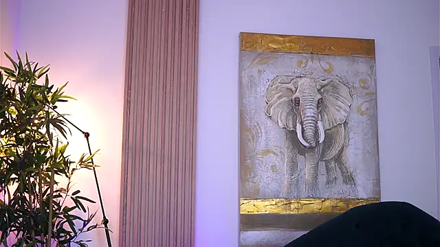 NinaSolenne online show from November 11, 7:47 pm