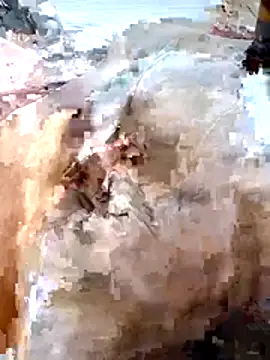 Snapshot of youssefwajda166 chatting on March 26, 2:55 pm youssefwajda166 online show from March 26, 2:55 pm