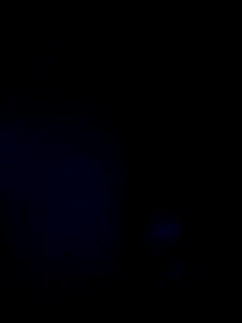 coca cola2025 online show from April 7, 6:03 am