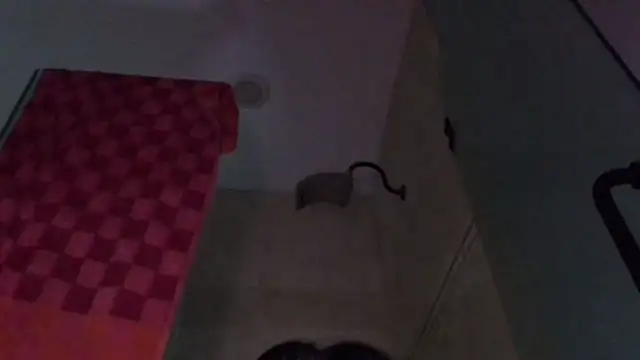 TallDrink11 online show from September 29, 10:25 pm