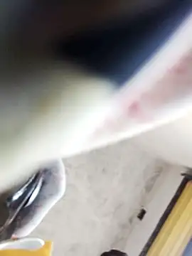 Bhavna hot online show from February 9, 11:36 am