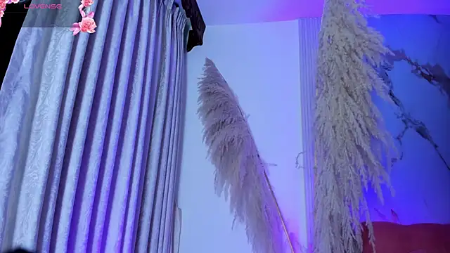 ShaunaDream online show from November 16, 4:40 am