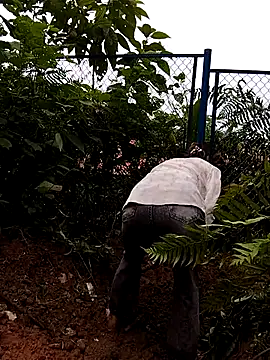 Snapshot of linda_bae00 chatting on September 27, 5:45 am linda bae00 online show from September 27, 5:45 am