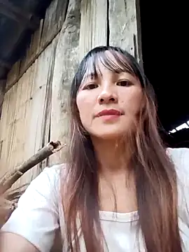 Mini3333 online show from November 7, 9:53 am