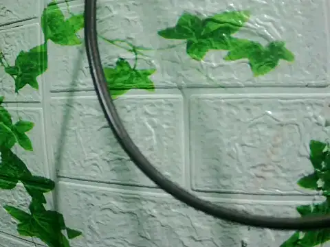 daros453 online show from November 3, 2:13 am