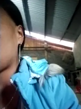 Snapshot of cute_love00 chatting on November 22, 1:37 am cute love00 online show from November 22, 1:37 am