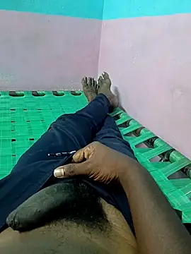 dolphiinn online show from October 4, 8:34 am