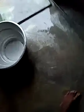 dolphiinn online show from November 28, 1:08 am