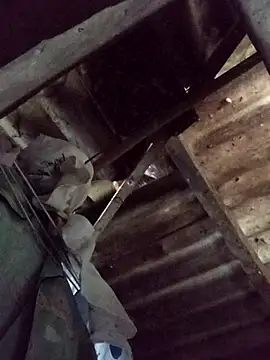 Snapshot of _Helala_ chatting on October 21, 11:49 pm Helala online show from October 21, 11:49 pm