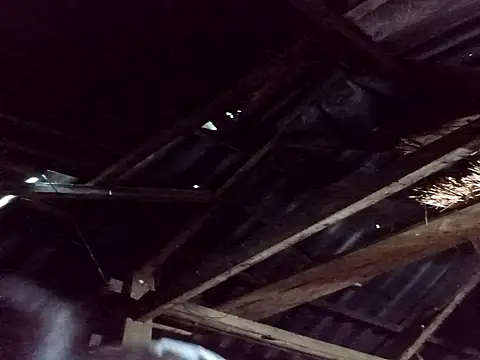 Snapshot of _Helala_ chatting on October 25, 11:21 pm Helala online show from October 25, 11:21 pm