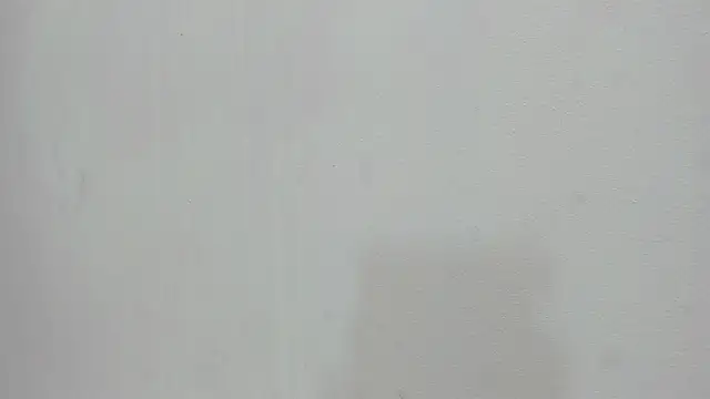 scarlett646 online show from November 19, 3:06 am