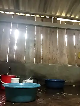 Snapshot of Ngocmi909 chatting on November 17, 1:22 am Ngocmi909 online show from November 17, 1:22 am