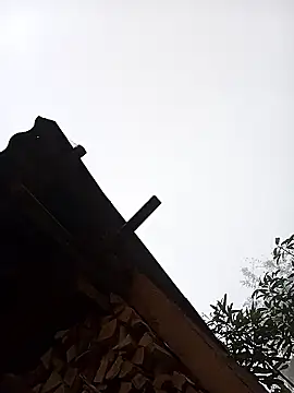 Snapshot of Ngocmi909 chatting on January 16, 12:58 am Ngocmi909 online show from January 16, 12:58 am