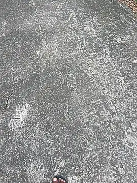 Senurak99 online show from November 16, 7:03 am