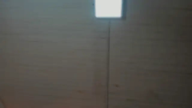 BellaBoobs  online show from October 1, 8:04 pm