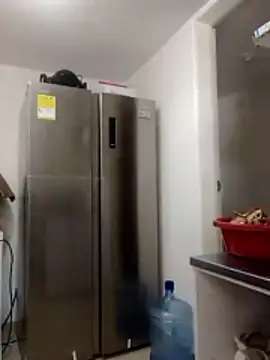 snow belle online show from February 10, 4:22 pm