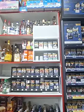 Snapshot of Fluturas2 chatting on October 3, 12:02 pm Fluturas2 online show from October 3, 12:02 pm